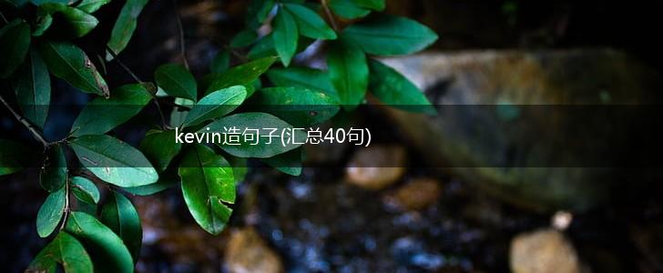 kevin造句子(汇总40句),第1张