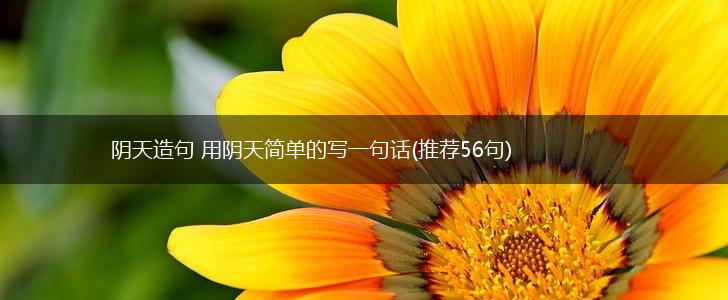 阴天造句 用阴天简单的写一句话(推荐56句),第1张