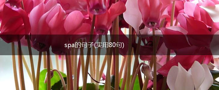 spa的句子(实用80句),第1张