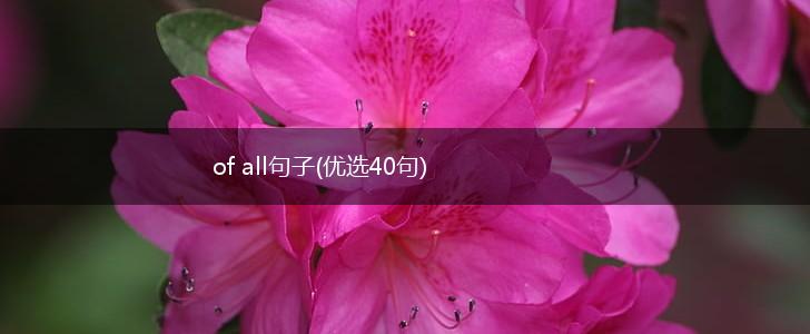 of all句子(优选40句),第1张