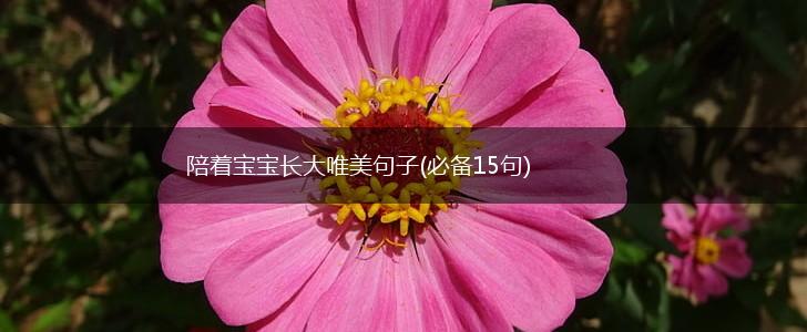 陪着宝宝长大唯美句子(必备15句),第1张