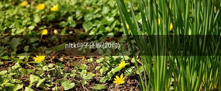 nltk句子还原(20句),第1张