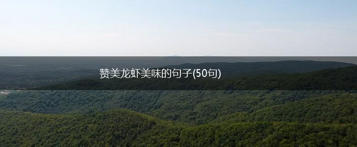 赞美龙虾美味的句子(50句),第1张