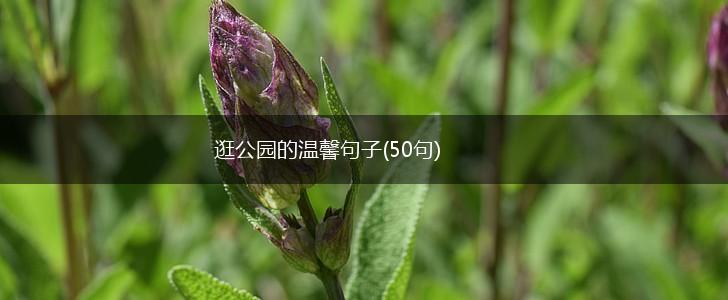 逛公园的温馨句子(50句),第1张
