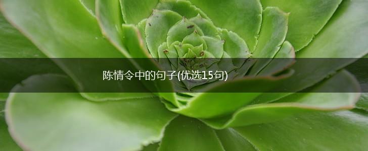 陈情令中的句子(优选15句),第1张