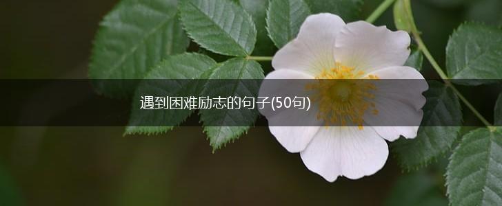遇到困难励志的句子(50句),第1张