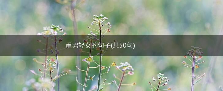 重男轻女的句子(共50句),第1张