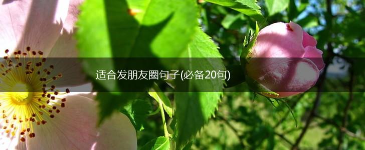 适合发朋友圈句子(必备20句),第1张