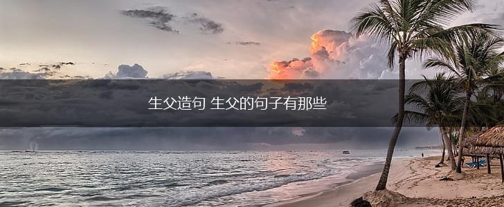 生父造句 生父的句子有那些,第1张