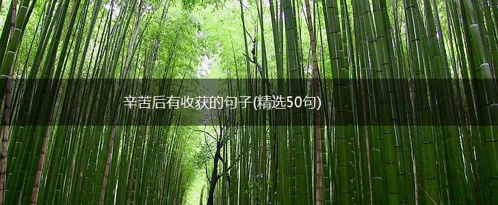 辛苦后有收获的句子(精选50句),第1张