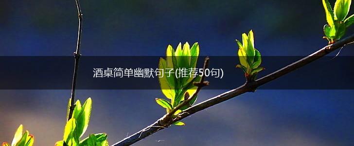 酒桌简单幽默句子(推荐50句),第1张