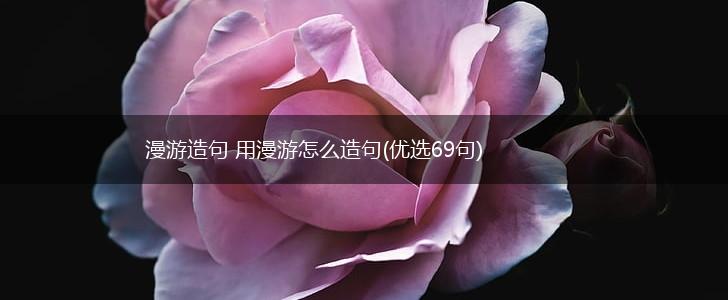 漫游造句 用漫游怎么造句(优选69句),第1张