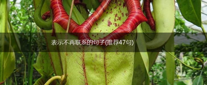 表示不再联系的句子(推荐47句),第1张