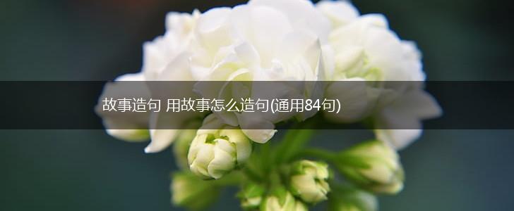 故事造句 用故事怎么造句(通用84句),第1张