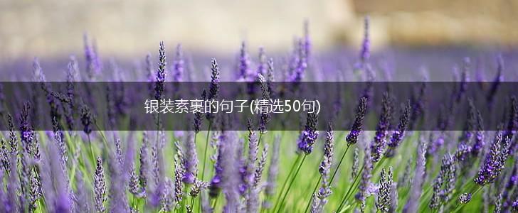 银装素裹的句子(精选50句),第1张