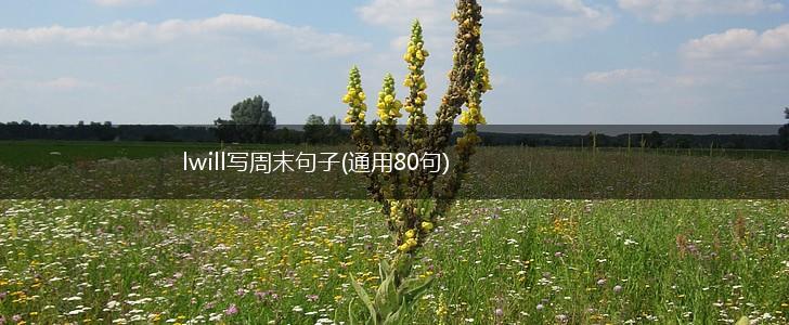 lwill写周末句子(通用80句),第1张