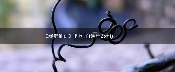 《绿野仙踪》的句子(通用25句),第1张