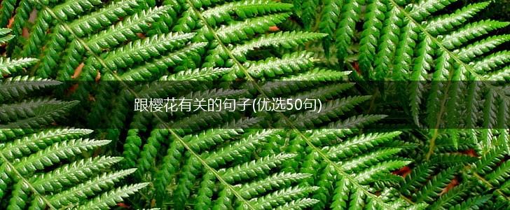 跟樱花有关的句子(优选50句),第1张