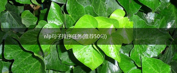nlp句子排序任务(推荐50句),第1张