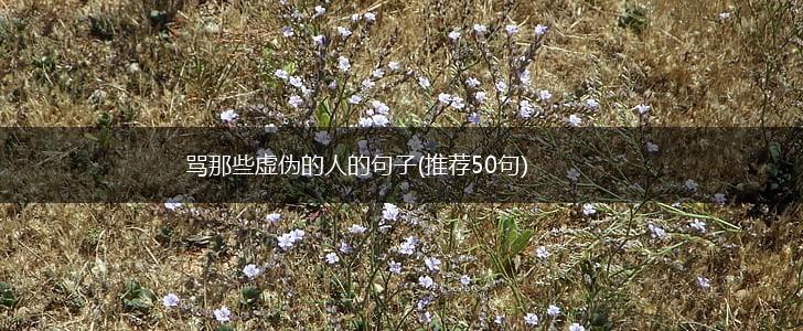 骂那些虚伪的人的句子(推荐50句),第1张