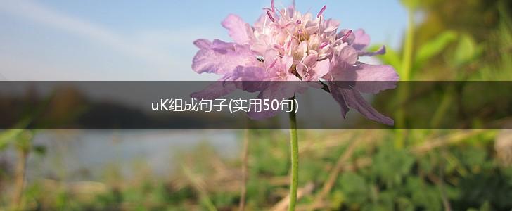 uK组成句子(实用50句),第1张