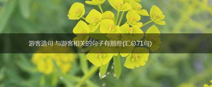 游客造句 与游客相关的句子有那些(汇总71句),第1张