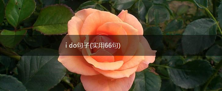 i do句子(实用66句),第1张