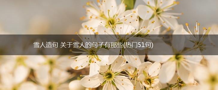 雪人造句 关于雪人的句子有那些(热门51句),第1张