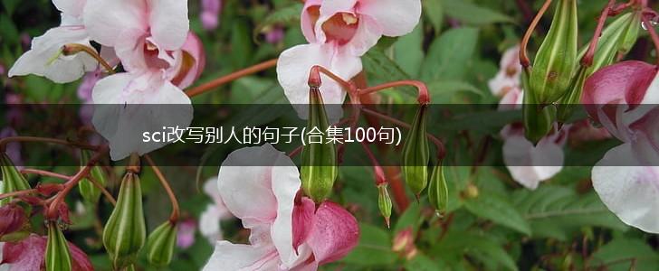 sci改写别人的句子(合集100句),第1张