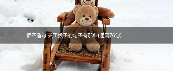 猴子造句 关于猴子的句子有那些(通用76句),第1张