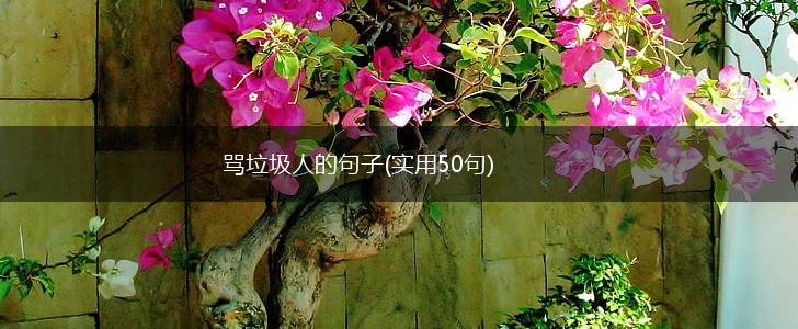骂垃圾人的句子(实用50句),第1张