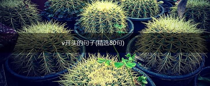 v开头的句子(精选80句),第1张