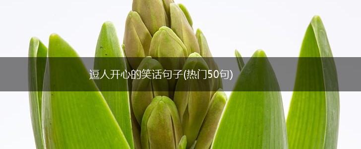 逗人开心的笑话句子(热门50句),第1张