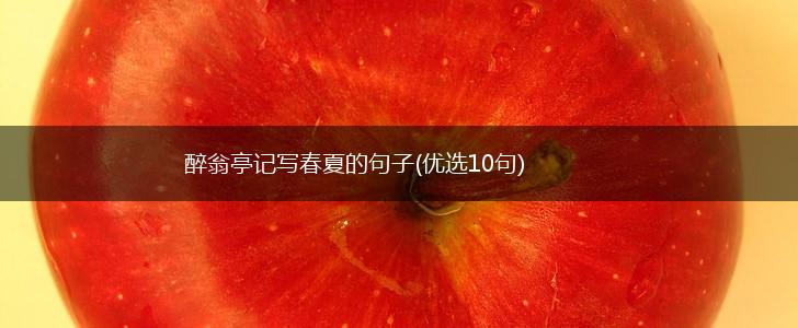 醉翁亭记写春夏的句子(优选10句),第1张