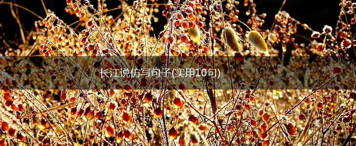 长江说仿写句子(实用10句),第1张