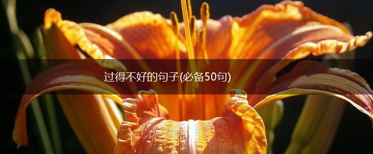 过得不好的句子(必备50句),第1张