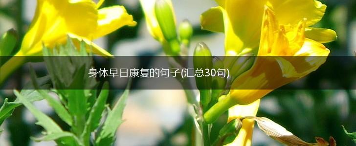 身体早日康复的句子(汇总30句),第1张