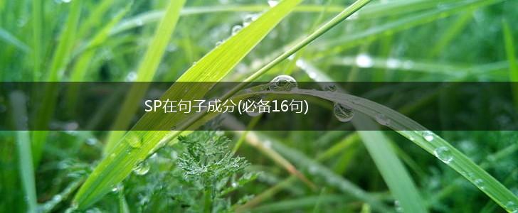 SP在句子成分(必备16句),第1张
