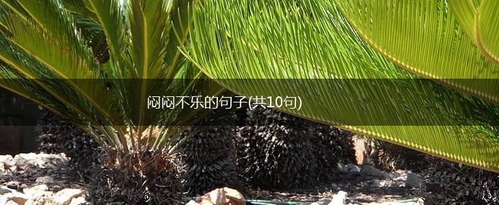 闷闷不乐的句子(共10句),第1张