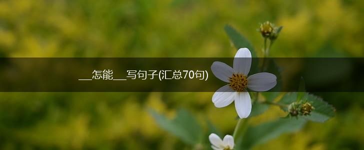 ___怎能___写句子(汇总70句),第1张