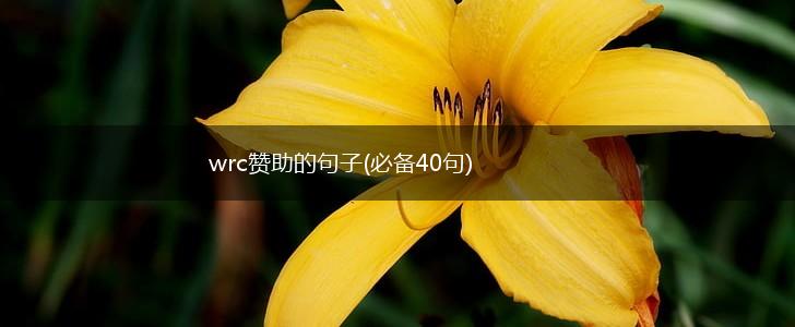 wrc赞助的句子(必备40句),第1张