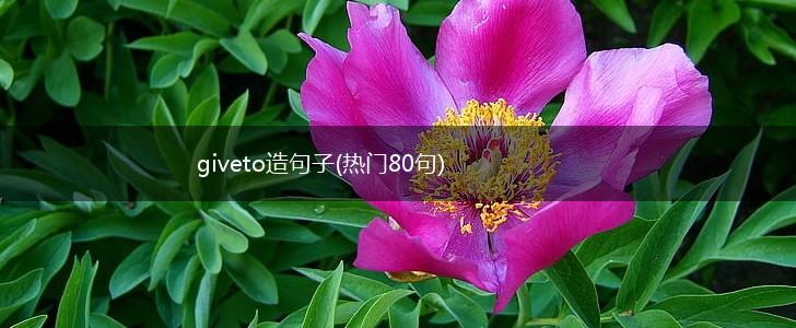 giveto造句子(热门80句),第1张