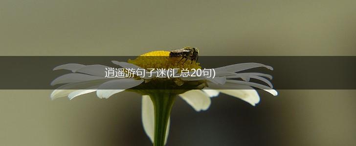 逍遥游句子迷(汇总20句),第1张
