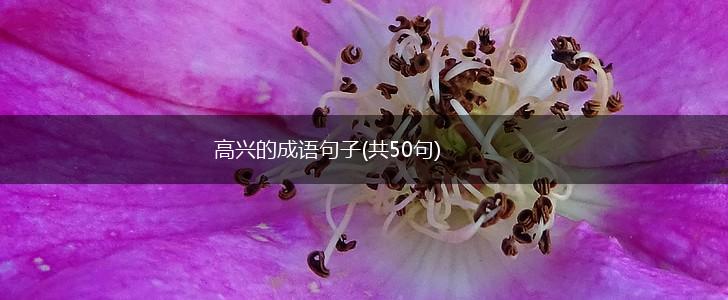 高兴的成语句子(共50句),第1张