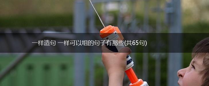 一样造句 一样可以组的句子有那些(共65句),第1张