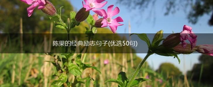 陈果的经典励志句子(优选50句),第1张