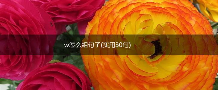 w怎么组句子(实用30句),第1张