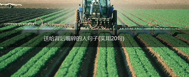 送给背后嘴碎的人句子(实用20句),第1张