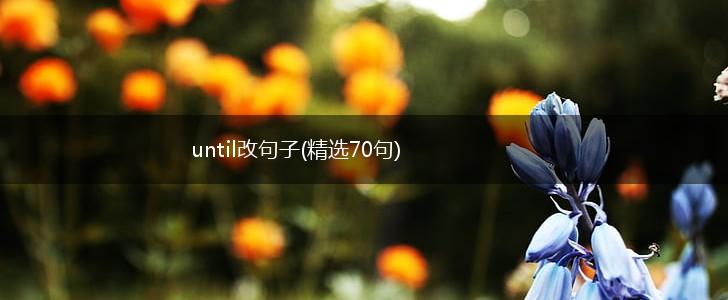 until改句子(精选70句),第1张