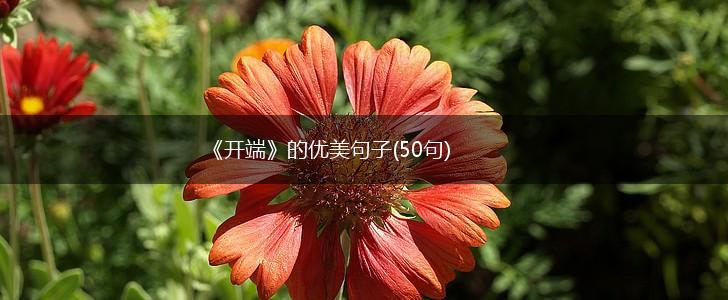 《开端》的优美句子(50句),第1张